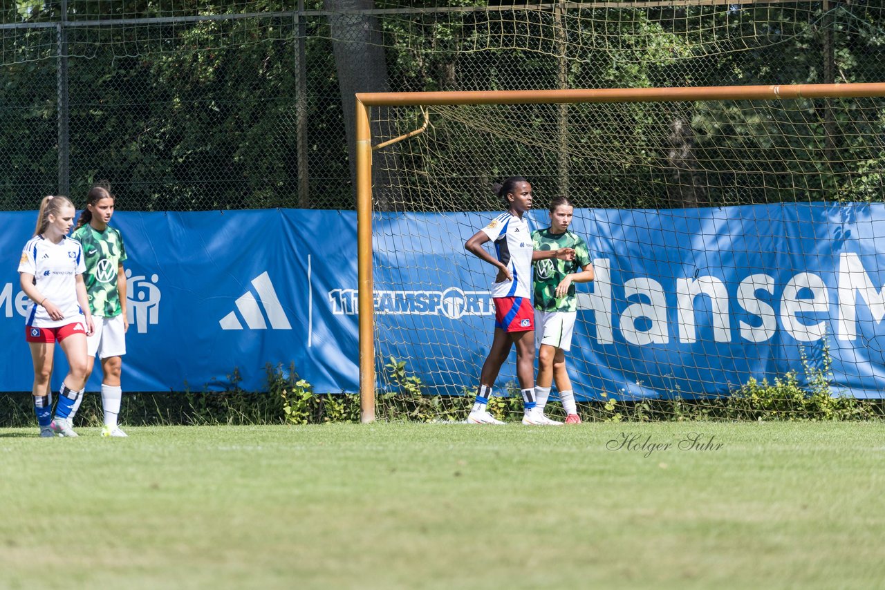 Bild 334 - wBJ Hamburger SV - VfL Wolfsburg : Ergebnis: 5:1